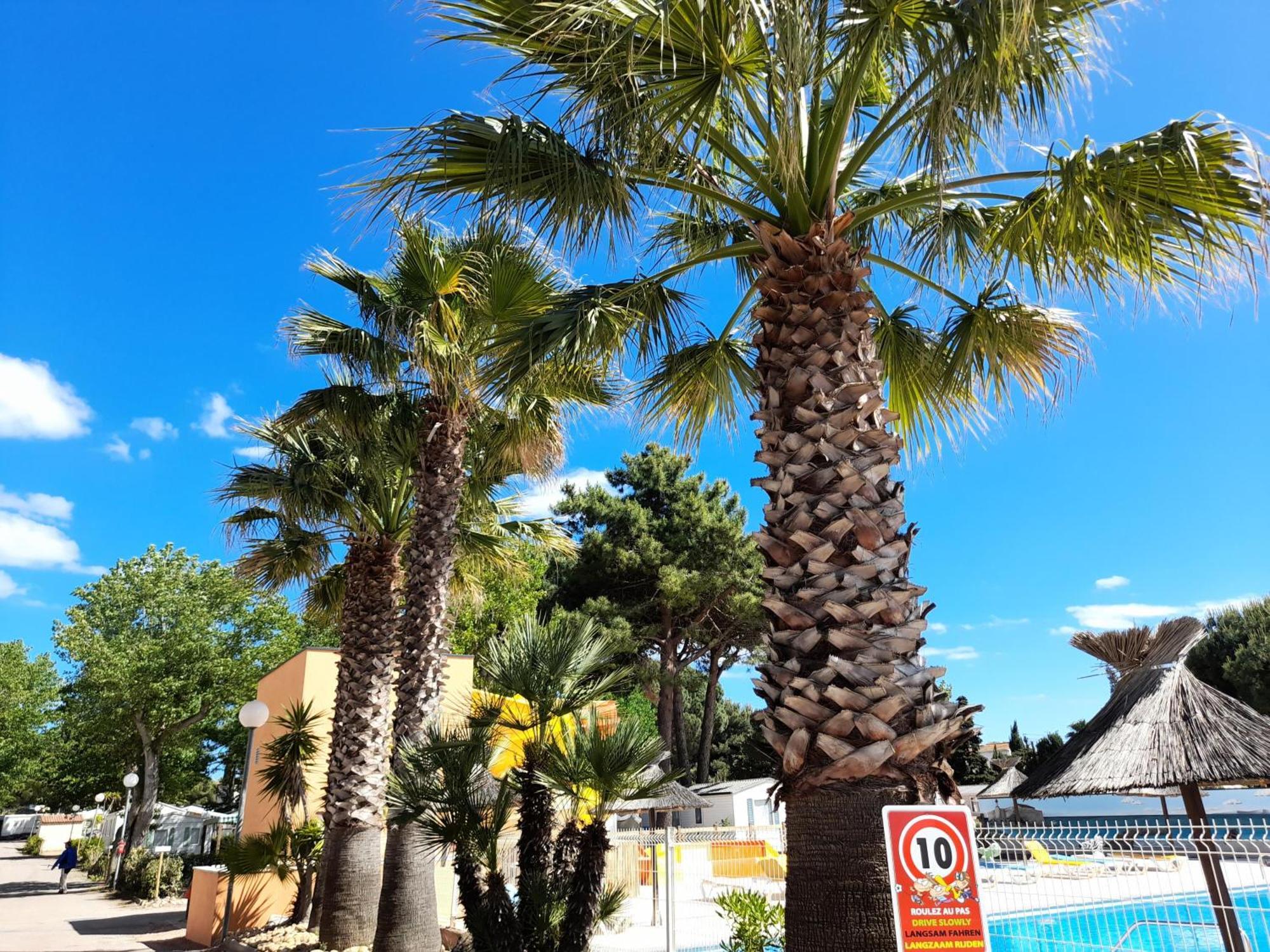 Camping Les Jardins D'Agathe - Maeva Le Grau-dʼAgde Esterno foto